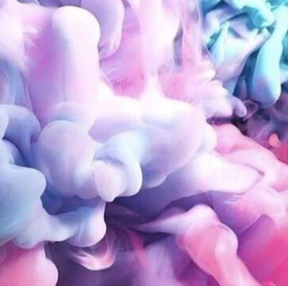 Meet your Posher, Amelia - Picture 1 of 1